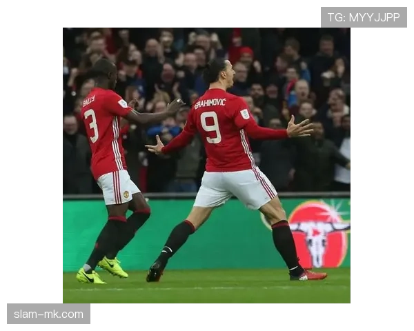 古斯塔沃·哈默加盟英超新贵,球队战力飙升引瞩目 古斯塔沃·哈默加盟英超新贵,球队战力飙升引瞩目