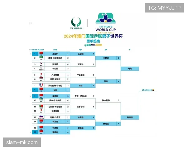 民主刚果冲击2026世界杯：赛程前景与出线形势分析